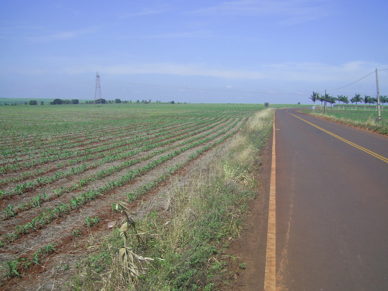 A estrada asfaltada passa a 148 metros da confluência - paved road passes 148 meters to the confluence