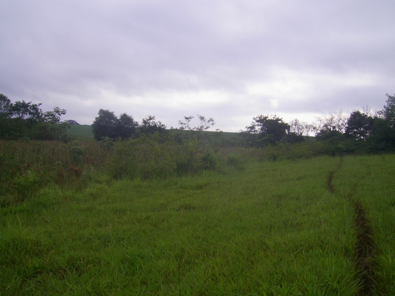 Visão geral - general view