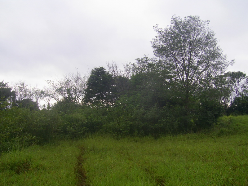 Visão leste - east view