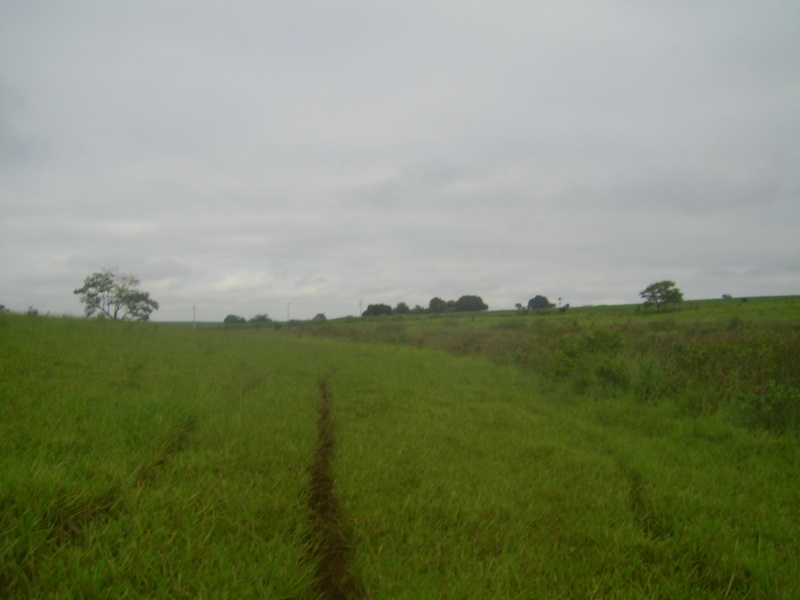 Visão oeste - west view