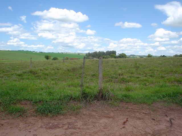 East view from the confluence