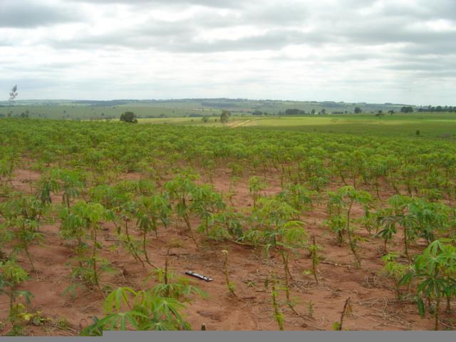 General view, in direction of Planaltina