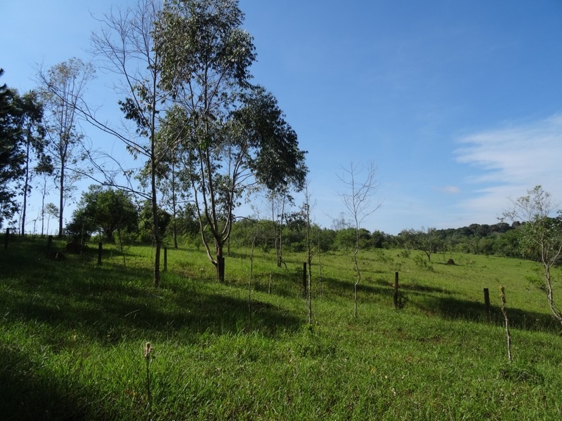 Vista Este. East view