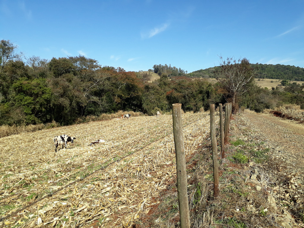 Visão geral - general view