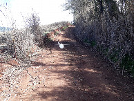 #7: Cerca elétrica atravessada na estrada - electric fence across the road