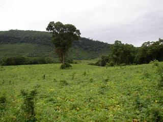 #1: General view looking West.