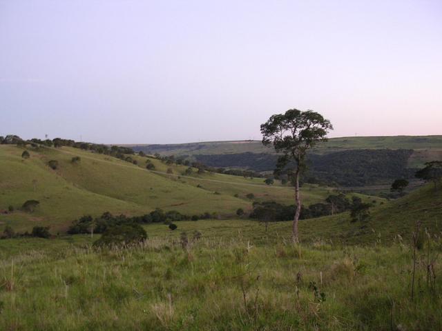 Confluence view