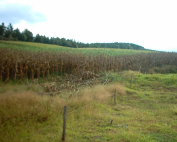 West view from confluence area