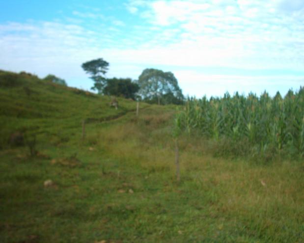 East view from confluence area