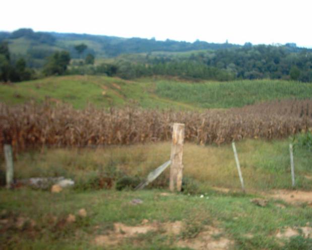 View to confluence area at a distance of 100 meters