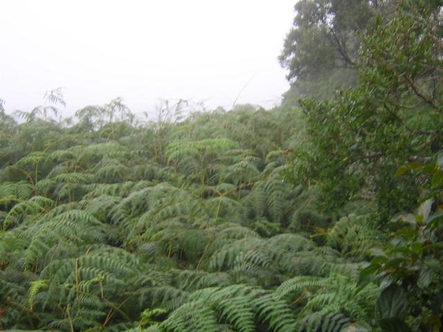 View to confluence area at a distance of 100 meters