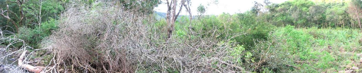 Foto panorâmica tirada olhando para o lado norte da confluência.