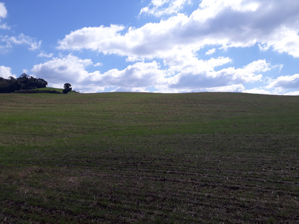 Visão geral - general view