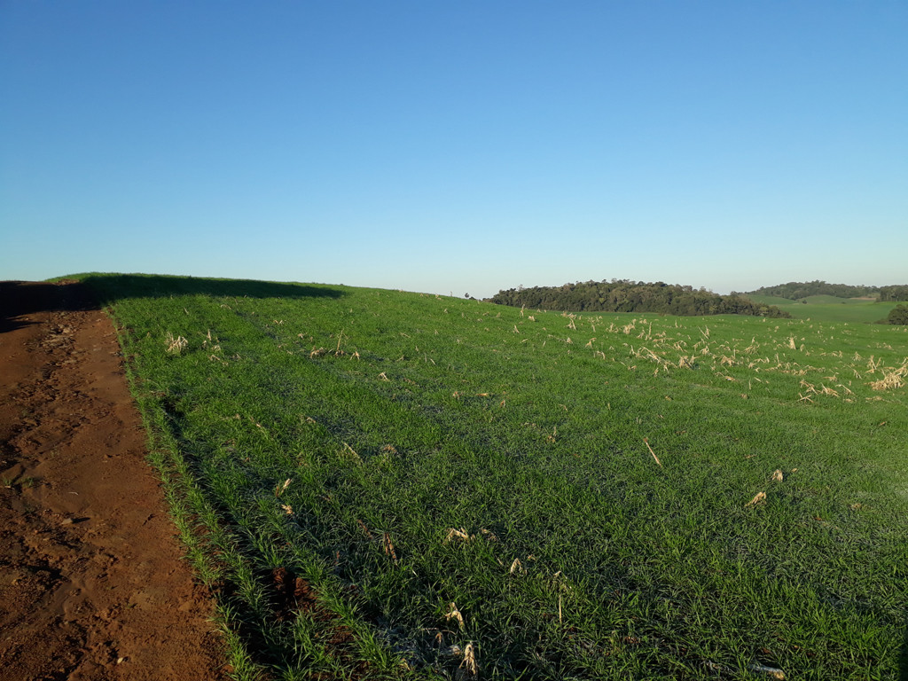 Visão geral - general view