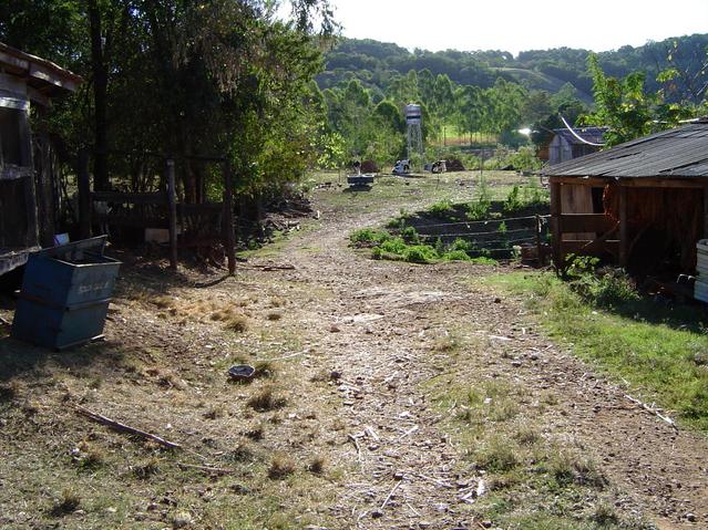 Looking West from CP