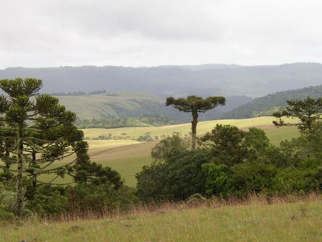 General view from the confluence.