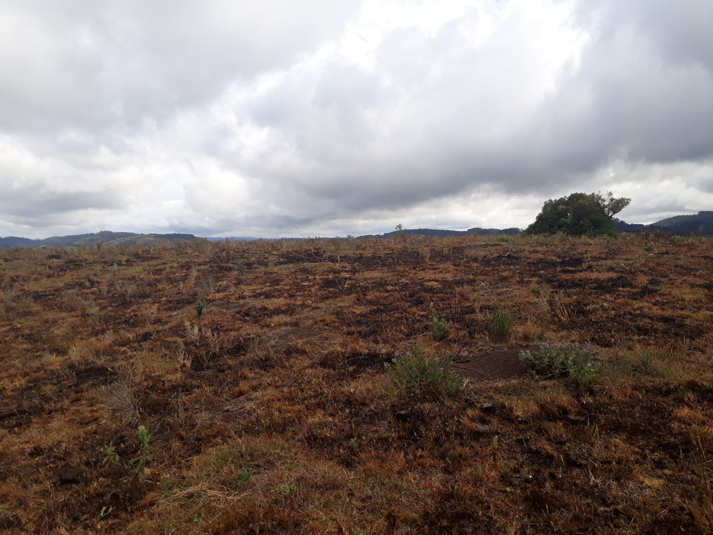 Visão oeste - west view