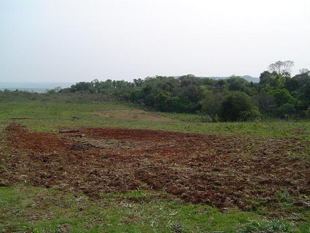 Vista para o Oeste