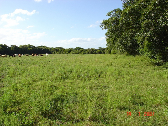 Looking north from the confluence