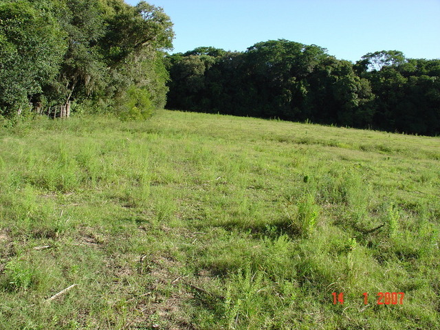 Looking south from the confluence