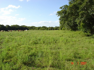 #1: Looking north from the confluence