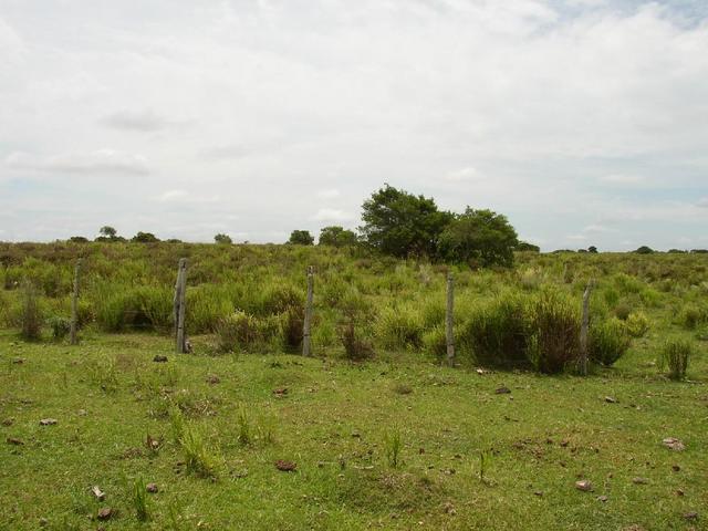 General view looking East. The point is just beyond the fence.