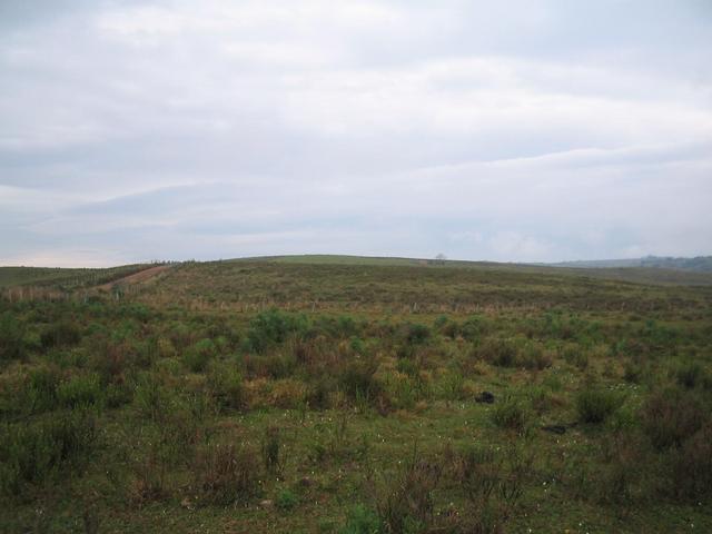 south from the confluence