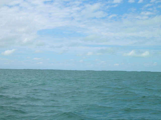 Looking north to Carter's Cays