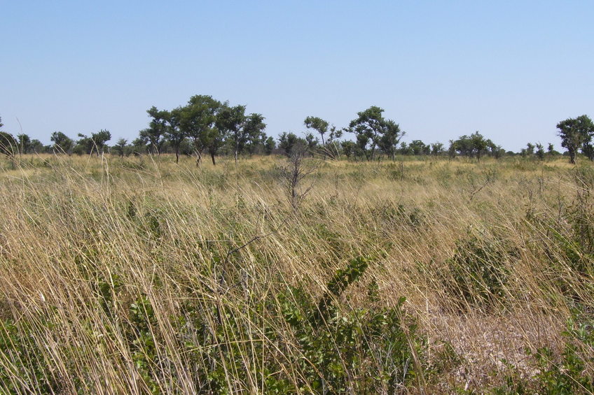 Overview of site