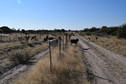 #8: New cordon fence and access track along 22E