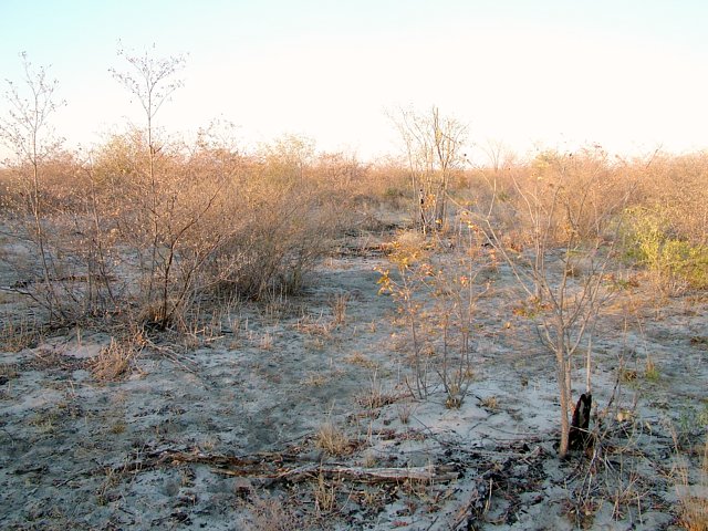 The general area of the confluence facing east