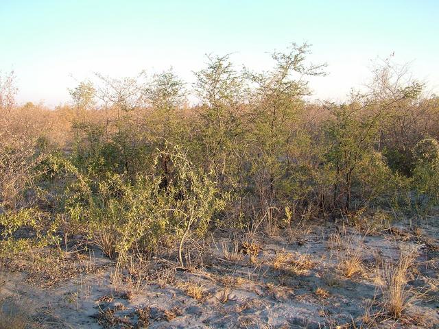 The view from the confluence facing south