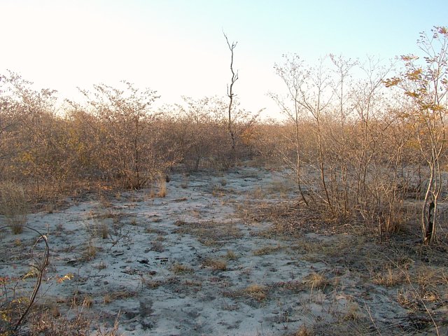 The view from the confluence facing north