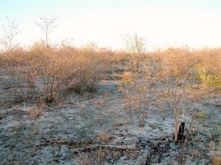 #1: The general area of the confluence facing east