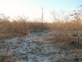 #4: The view from the confluence facing north