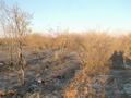 #5: The view from the confluence facing east