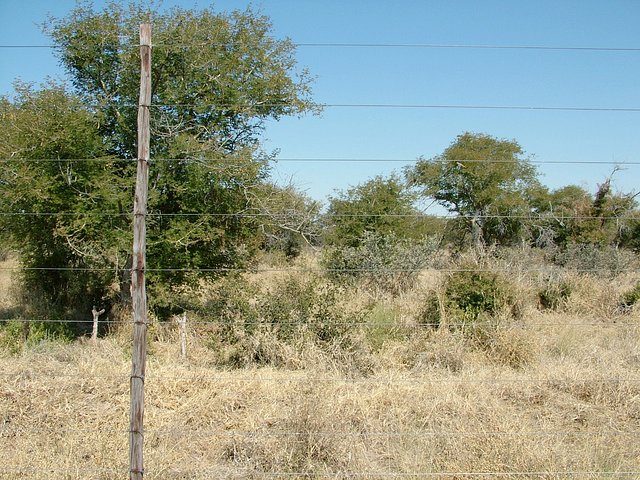 Looking south from Confluence