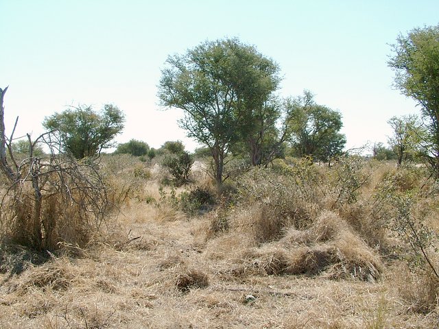 Looking north from Confluence