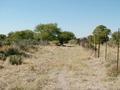 #4: Looking east from Confluence