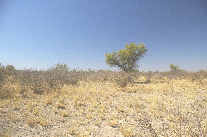 General View of Confluence Area (to the left of the large tree)