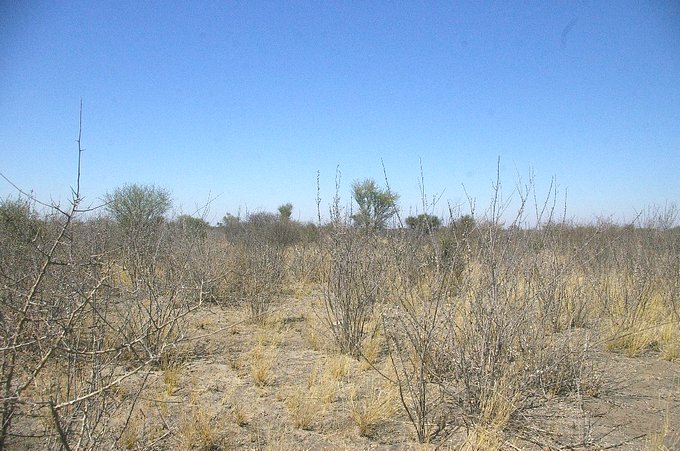 South View from Confluence