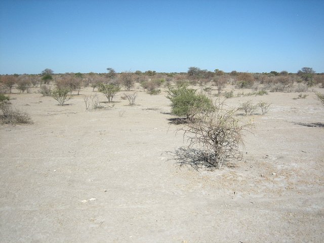 General view of Confluence