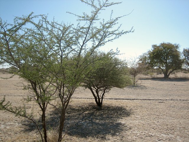 View to West from Confluence