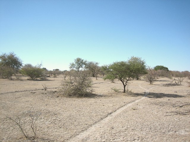 View to North from Confluence