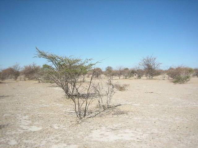 View to East from Confluence