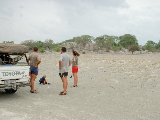 Baobab trees on Kubu Island