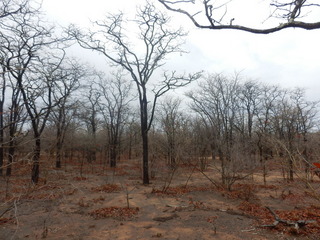 #1: The Confluence from 15 m distance