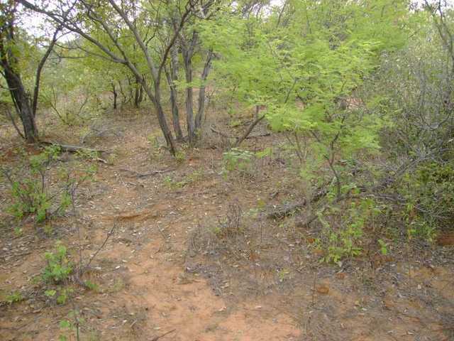 Confluence point marked on the ground