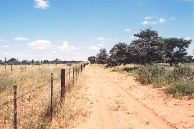 Facing south along the Namibian/Botswana boarder