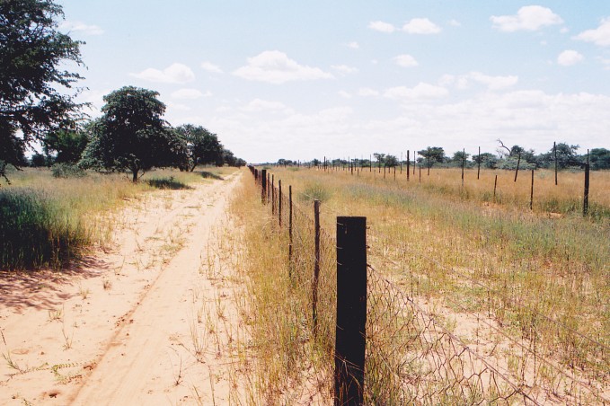 Facing north along the Namibian/Botswana boarder